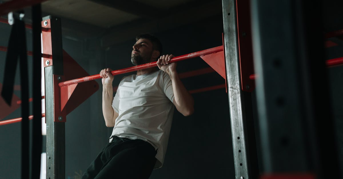 Bellowsgym Fitness Club collection